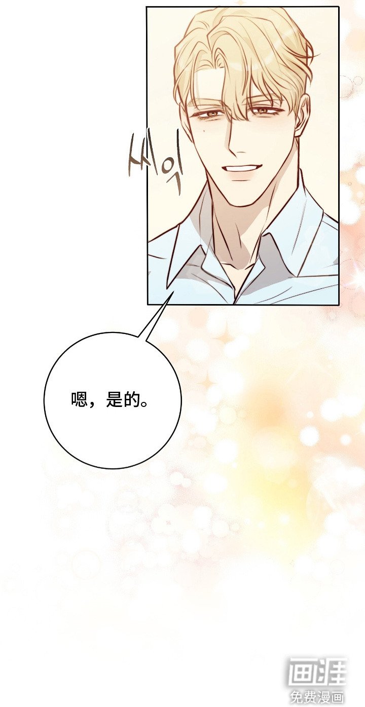 第21章：保险措施
