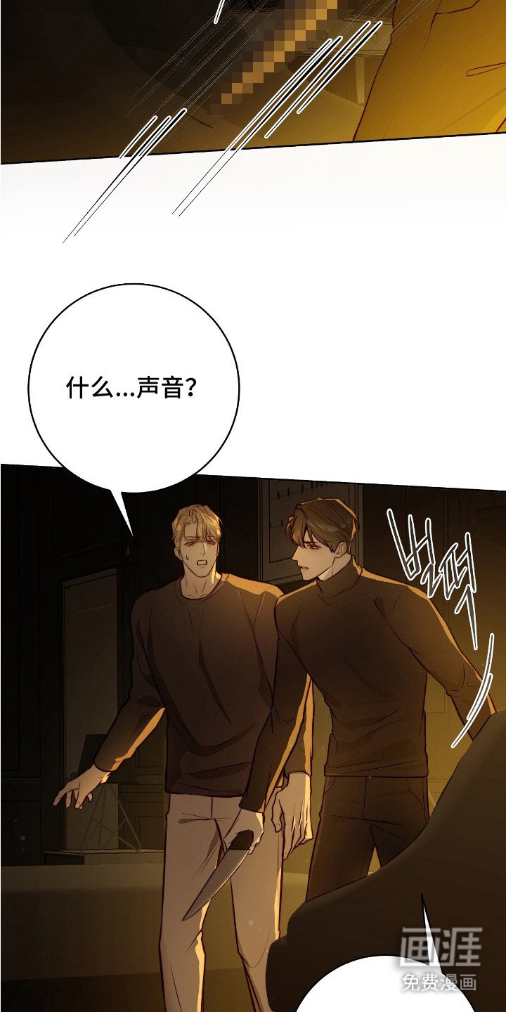 第24章：声响