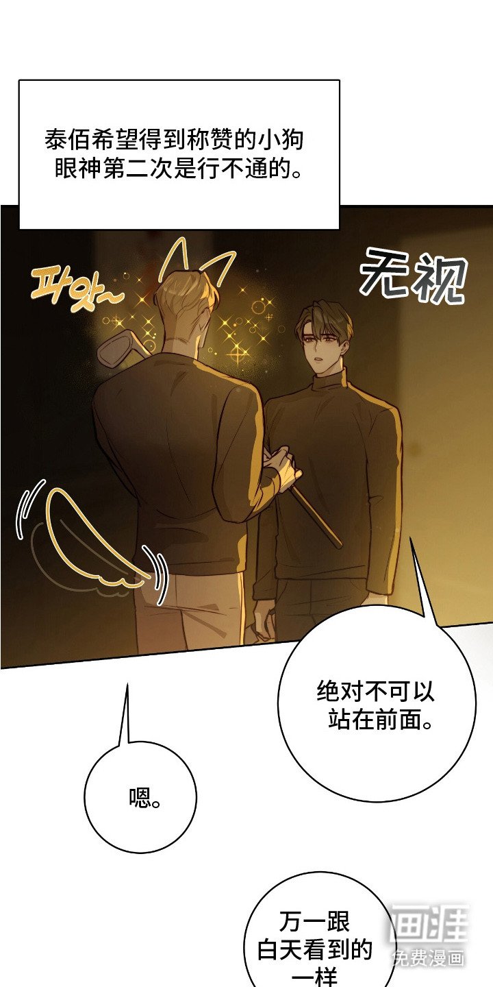 第25章：变异