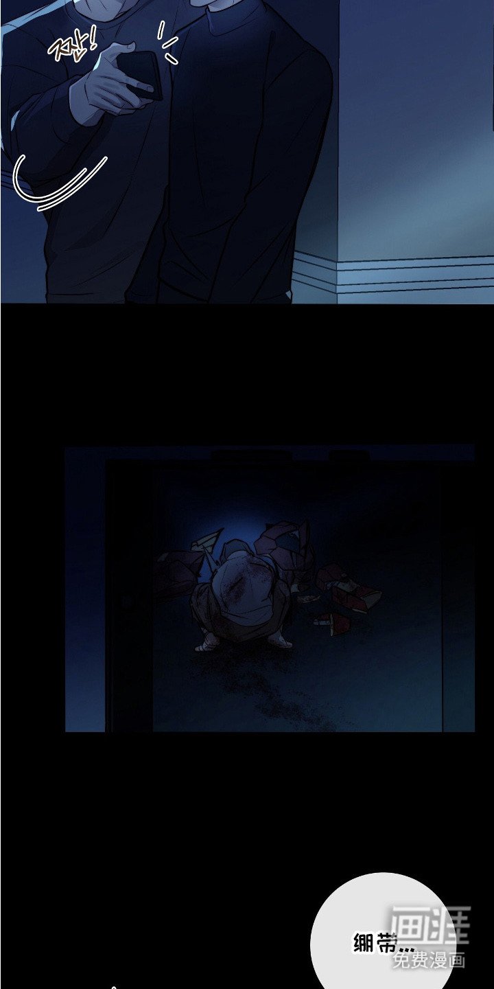 第25章：变异