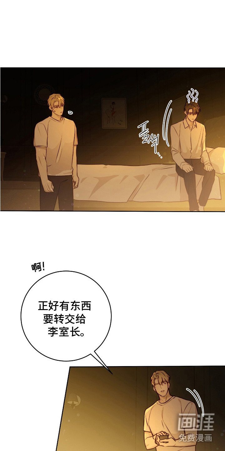 第29章：安慰