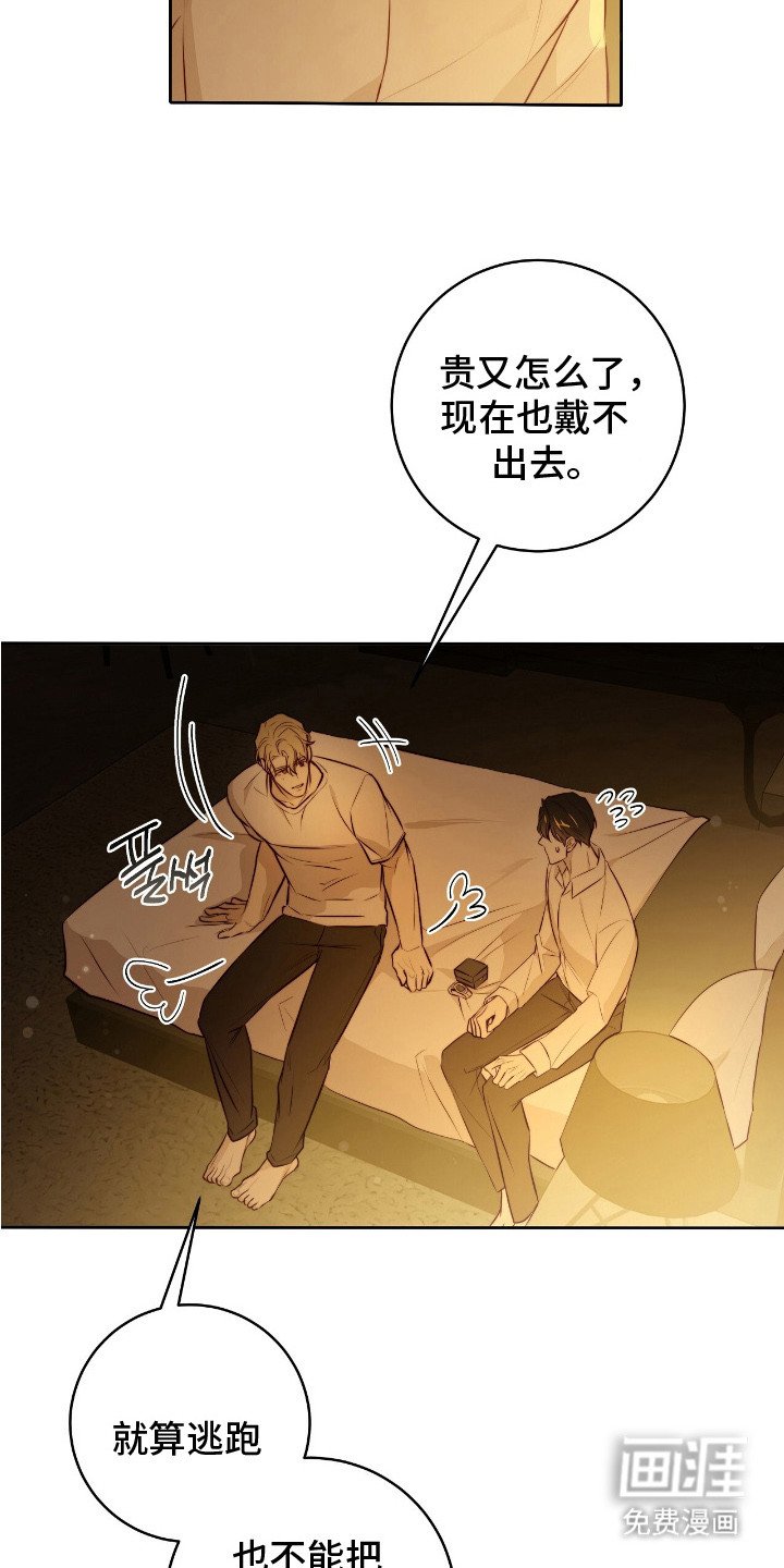 第29章：安慰