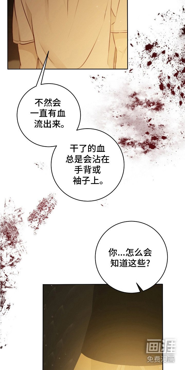 第29章：安慰