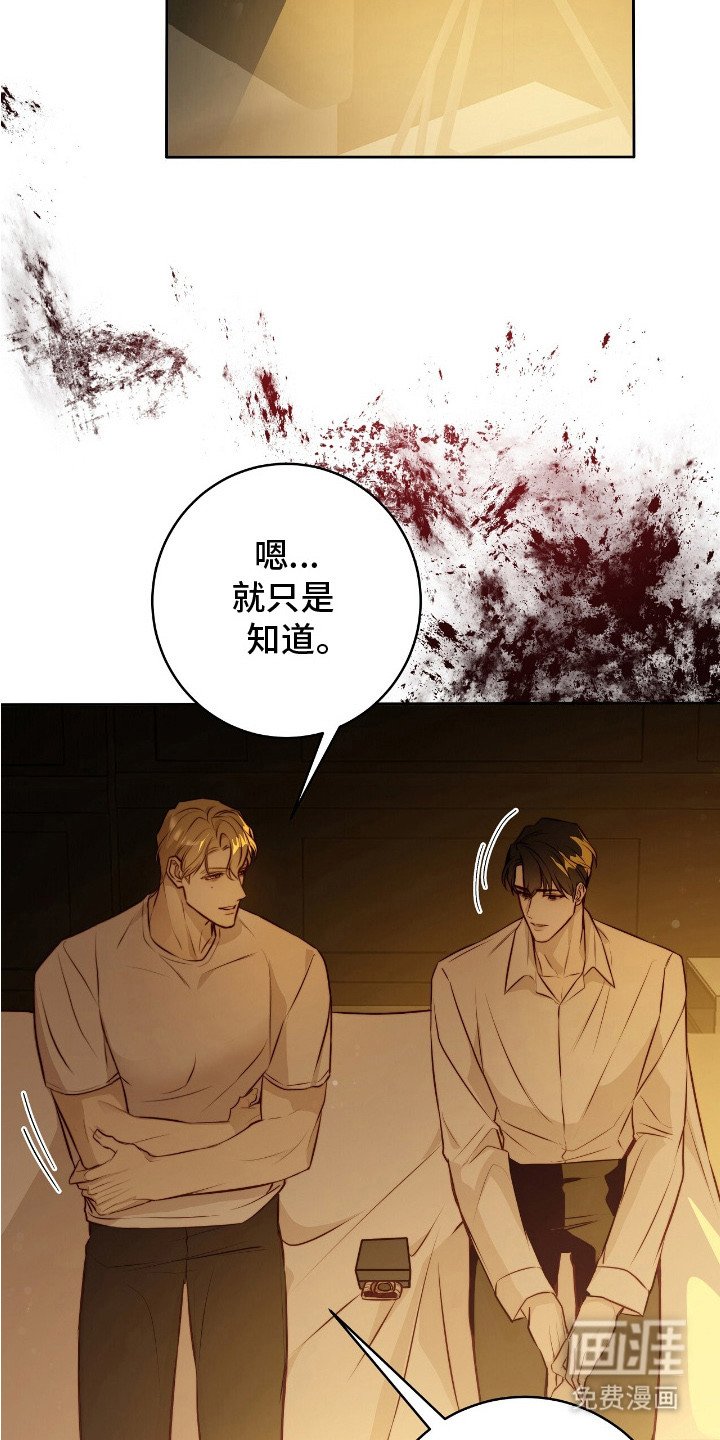 第29章：安慰