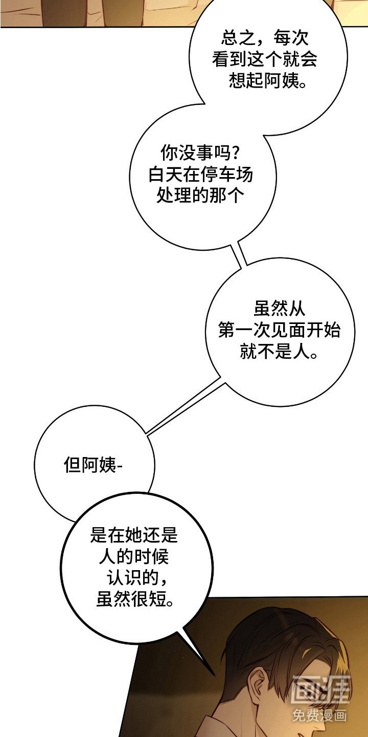 第29章：安慰