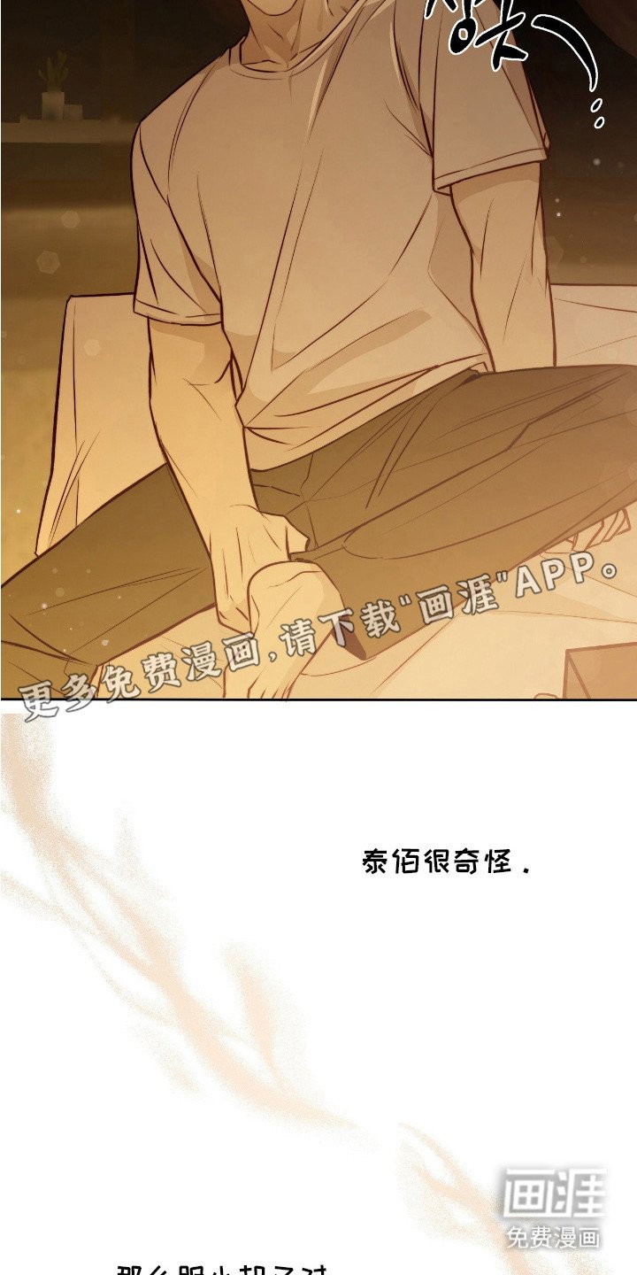 第29章：安慰