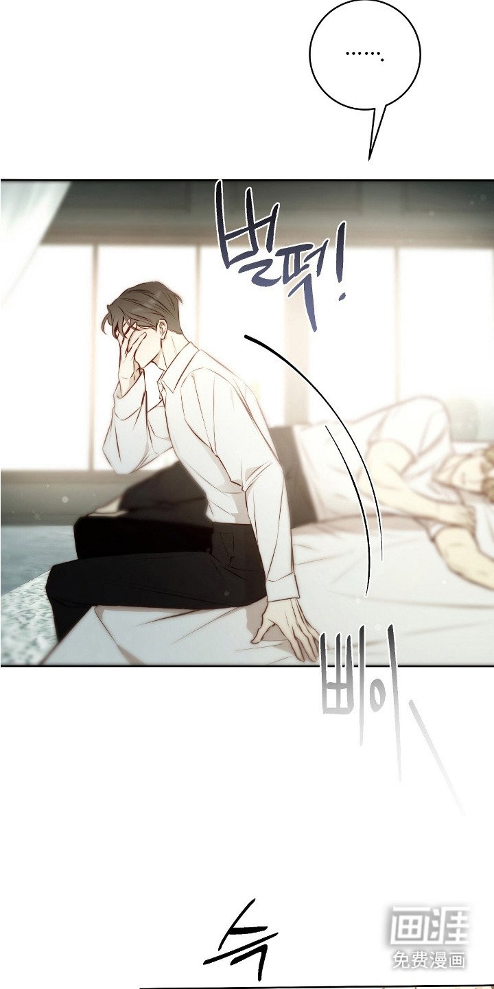 第29章：安慰