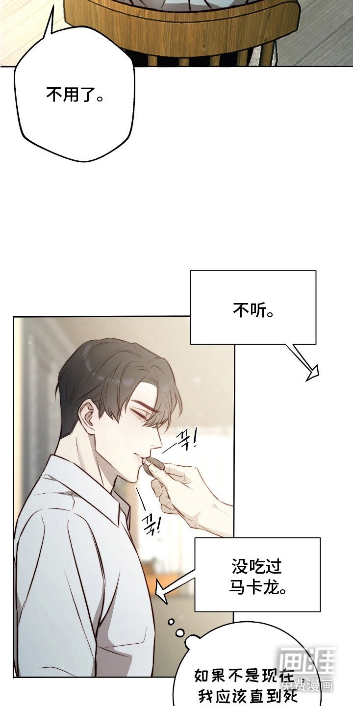第31章：灾难广播