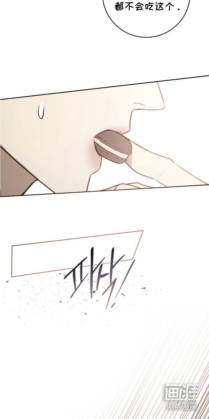 第31章：灾难广播