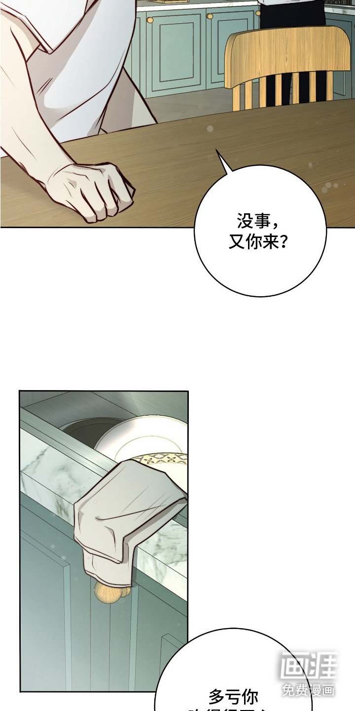 第31章：灾难广播