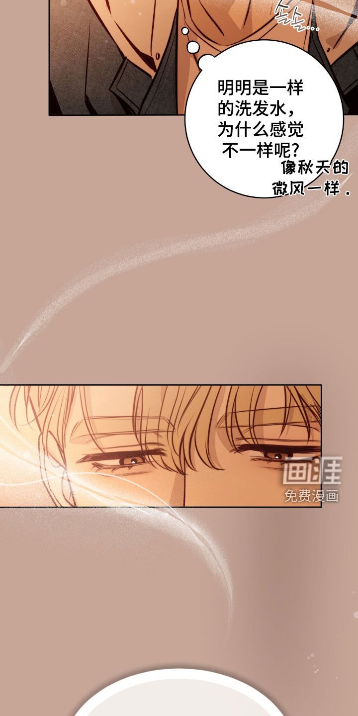 第34章：不会抛弃你
