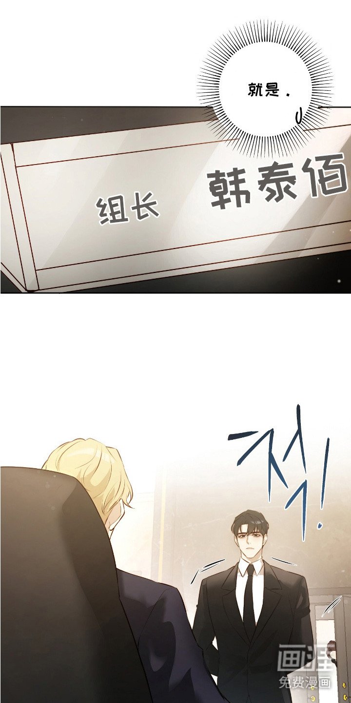第4章：面试
