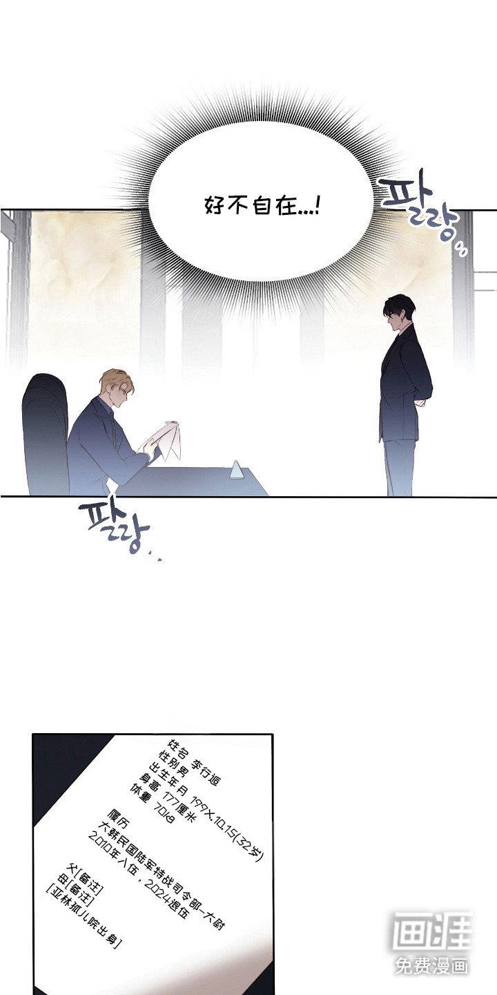 第4章：面试
