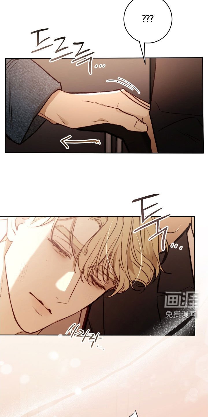 第41章：落脚点