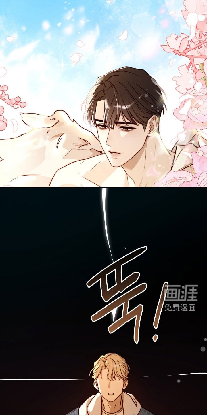 第43章：响亮的赞美