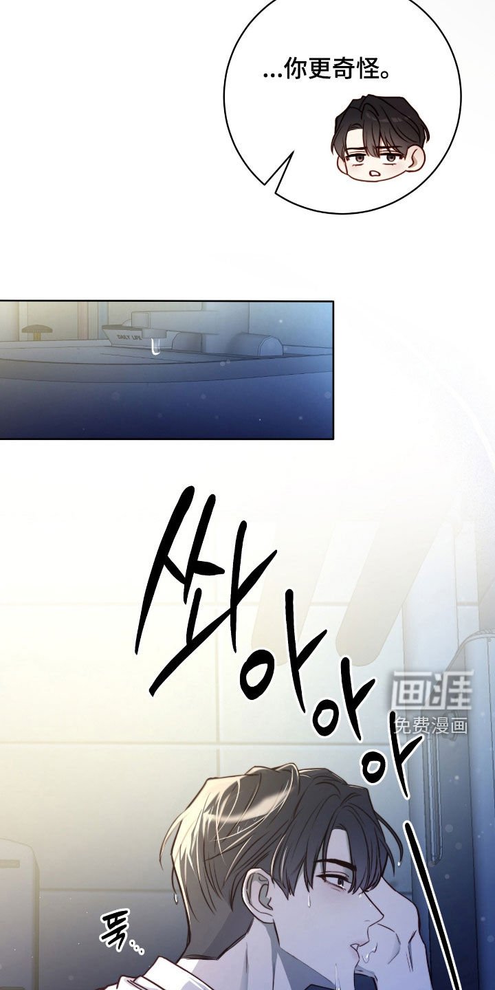 第43章：响亮的赞美