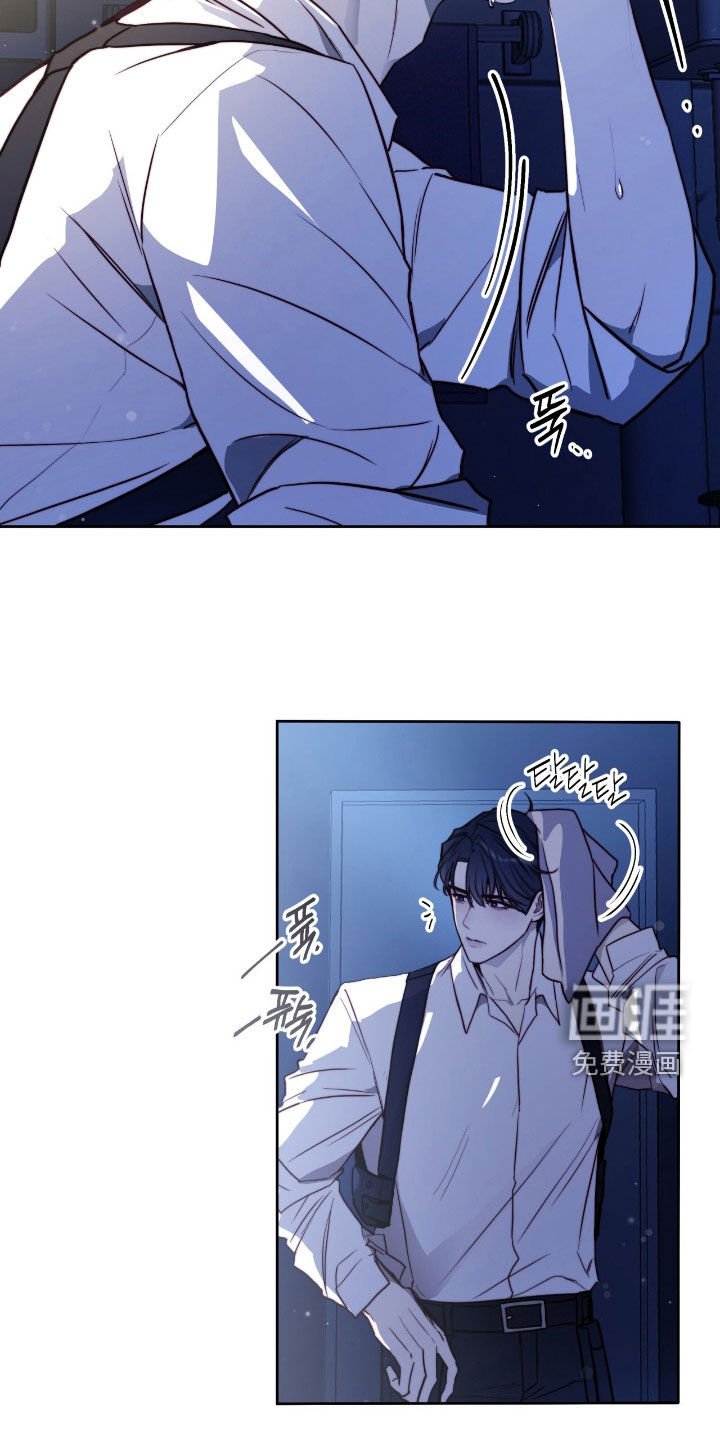 第43章：响亮的赞美