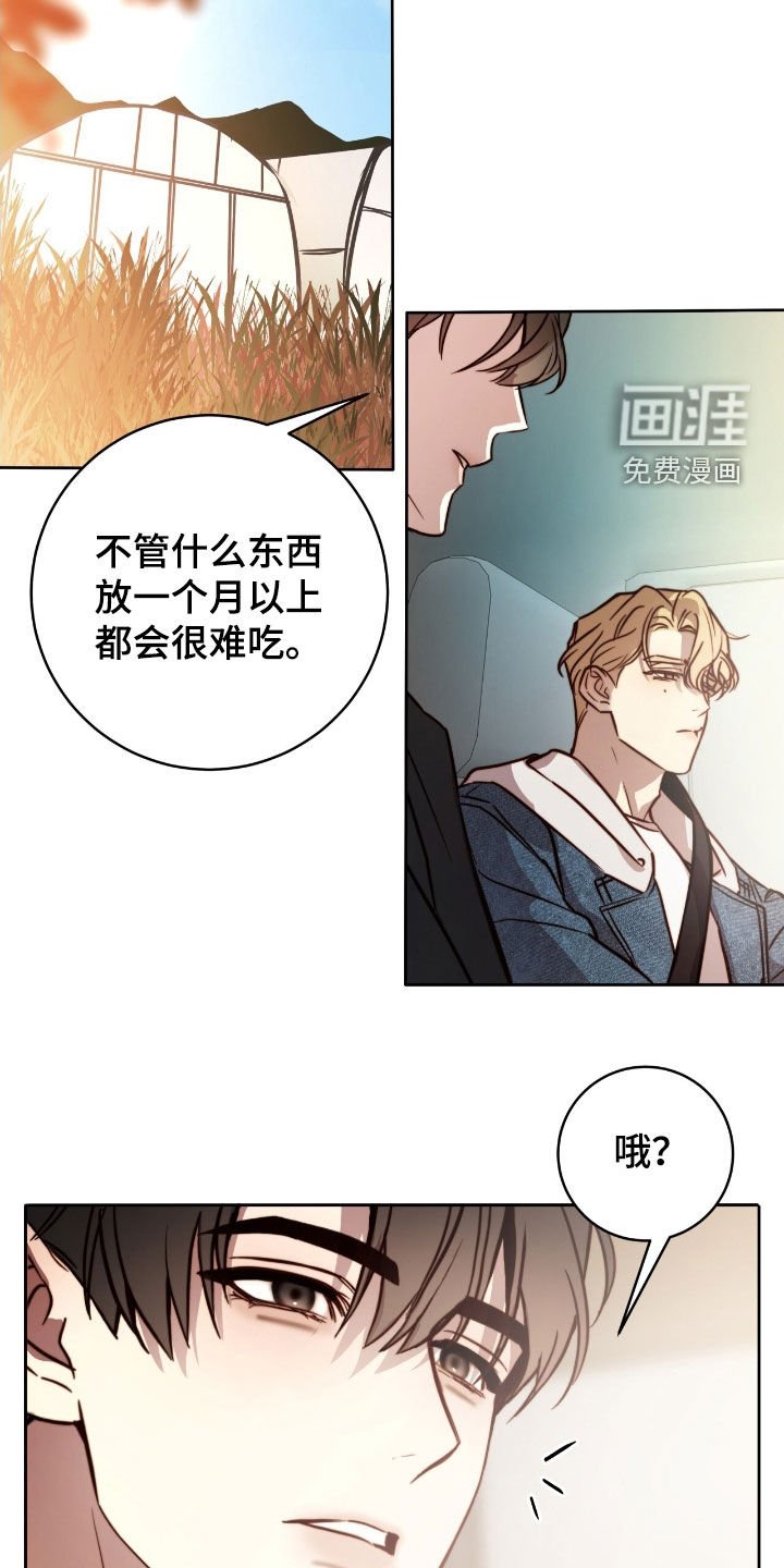 第56章：他好奇怪