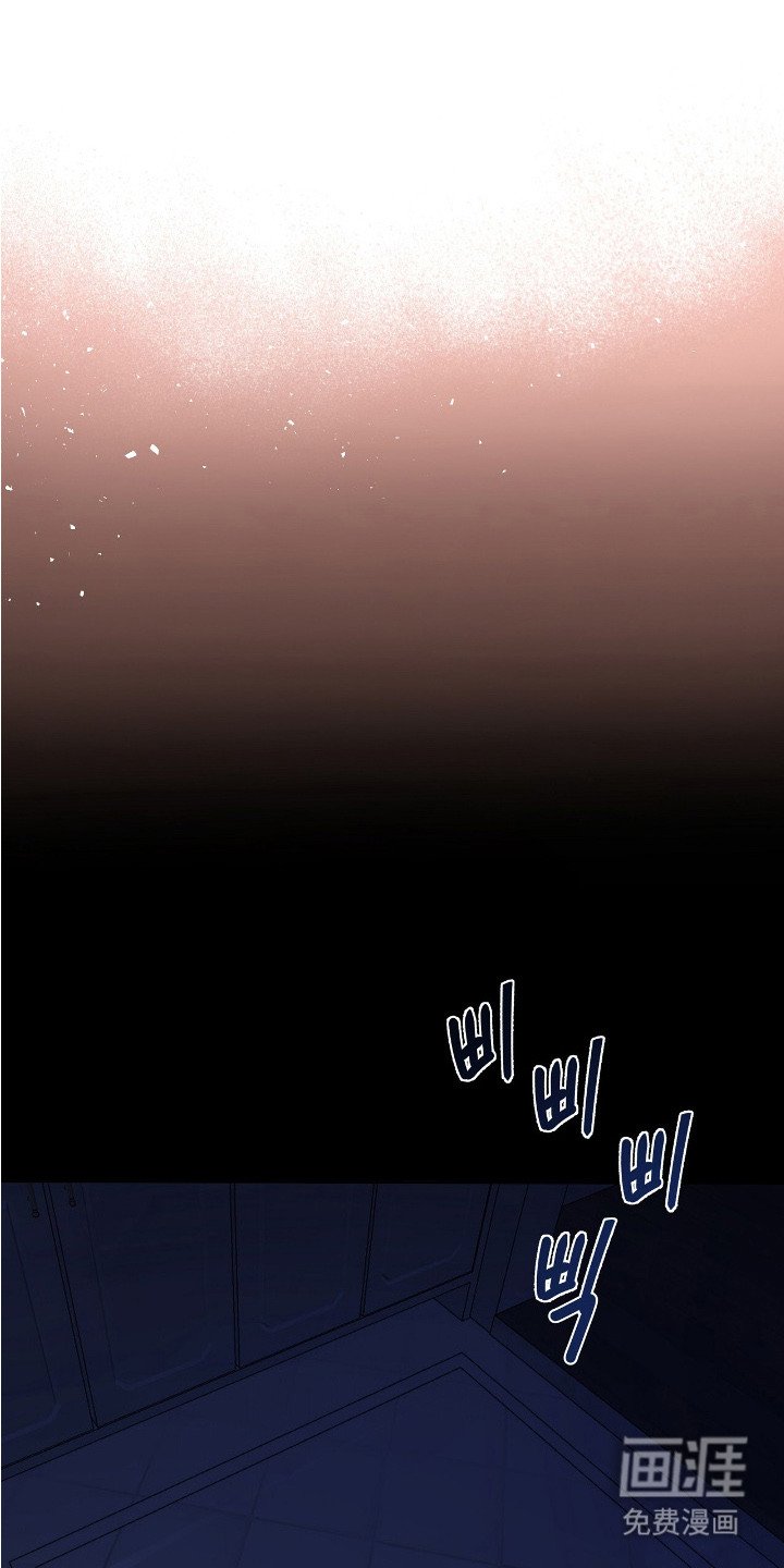 第6章：初见端倪