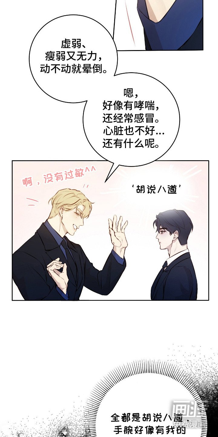 第6章：初见端倪