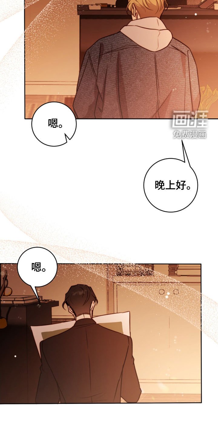 第64章：我答应你