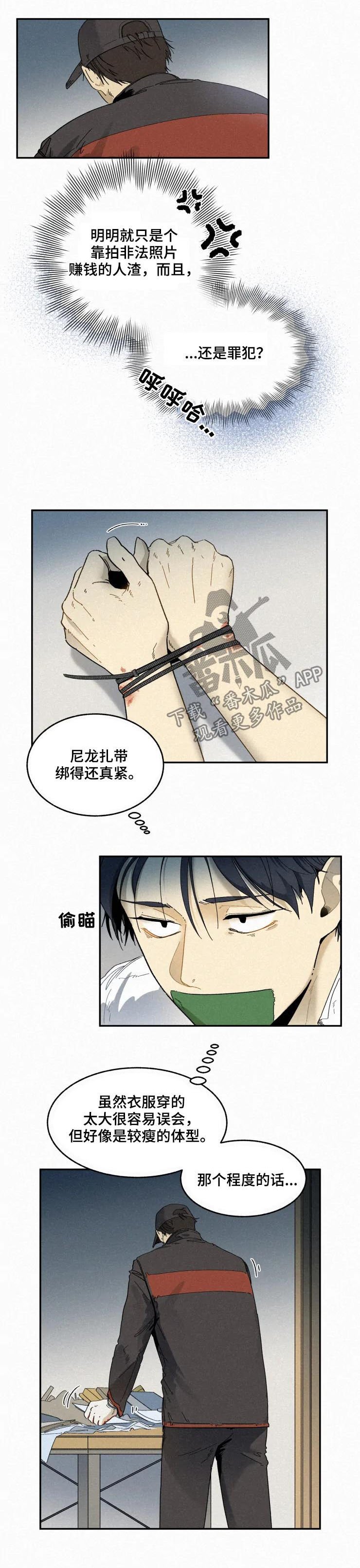 第60章：反击
