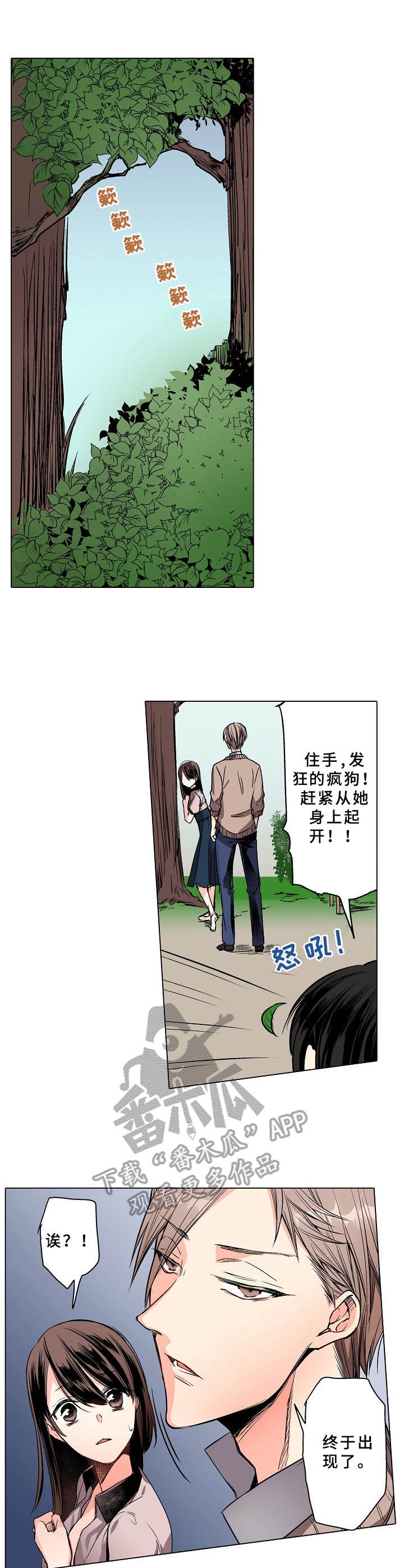 第4章：喜欢的人