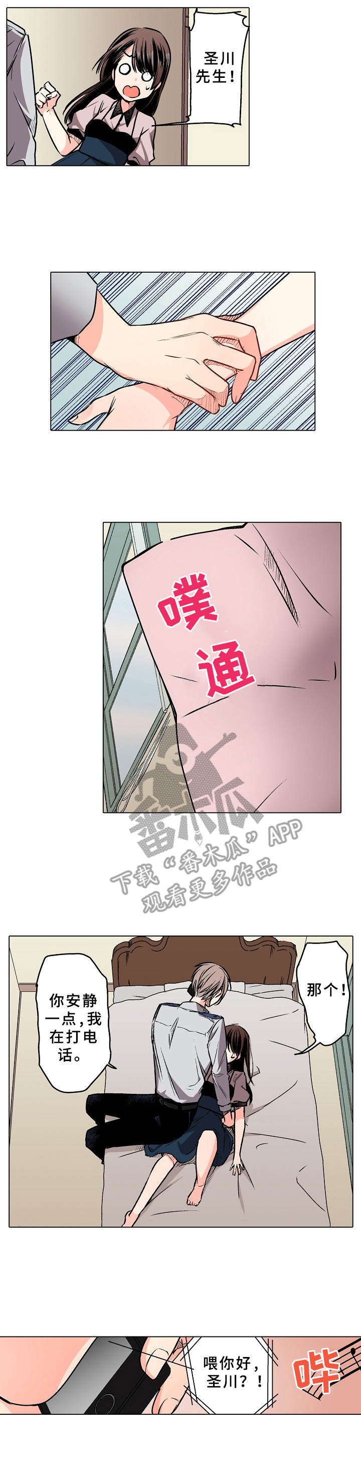 第7章：替代品