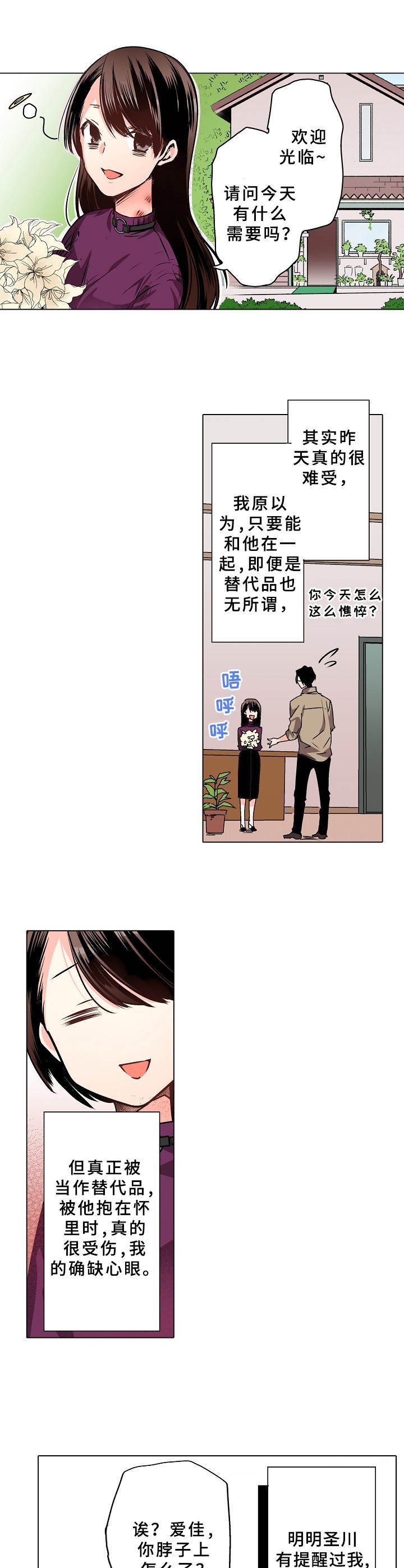 第7章：替代品