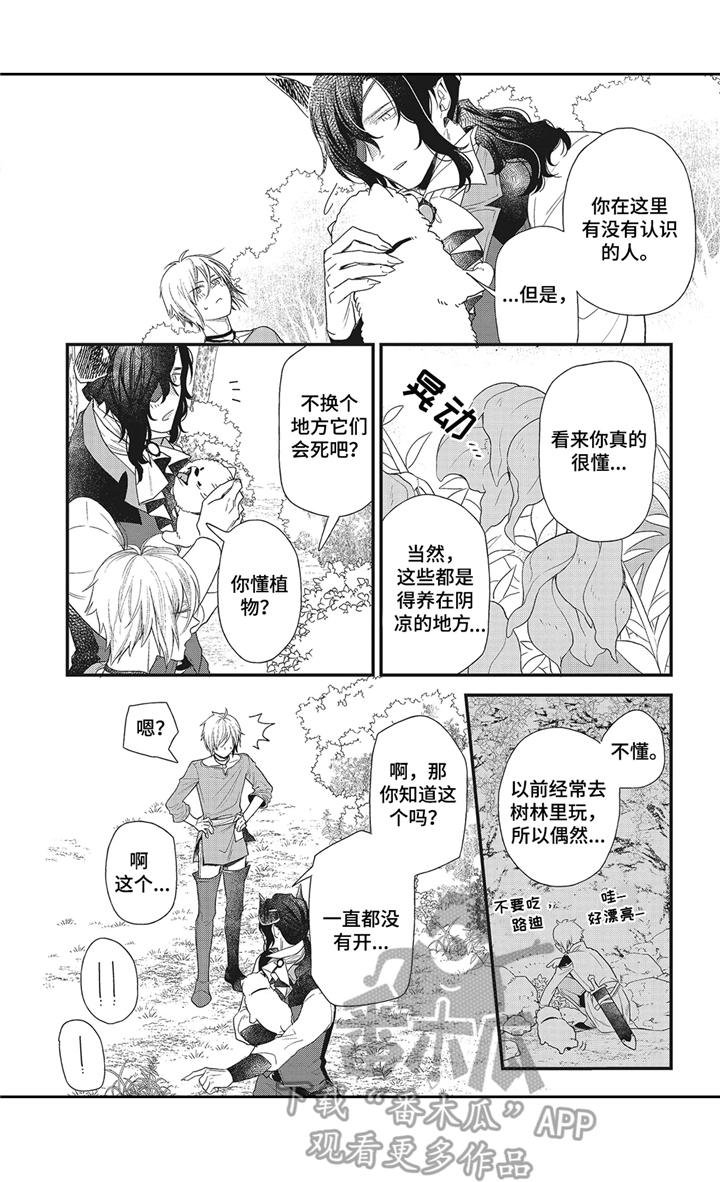 第2章：变弱了