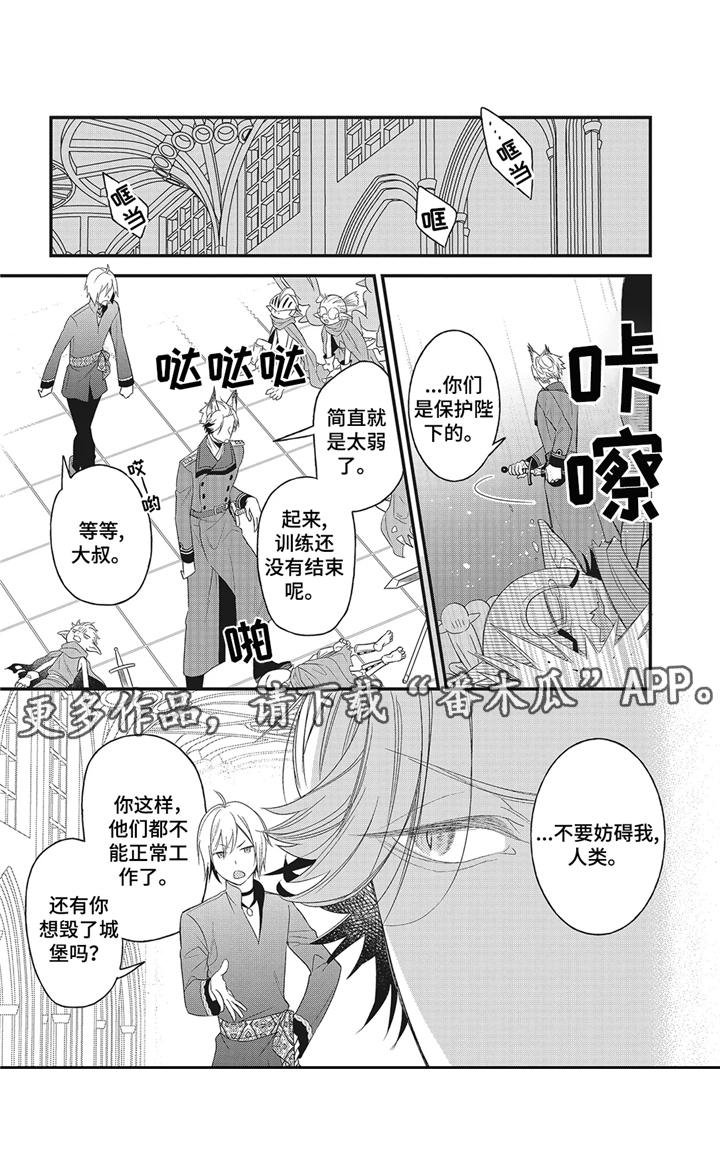 第5章：远征