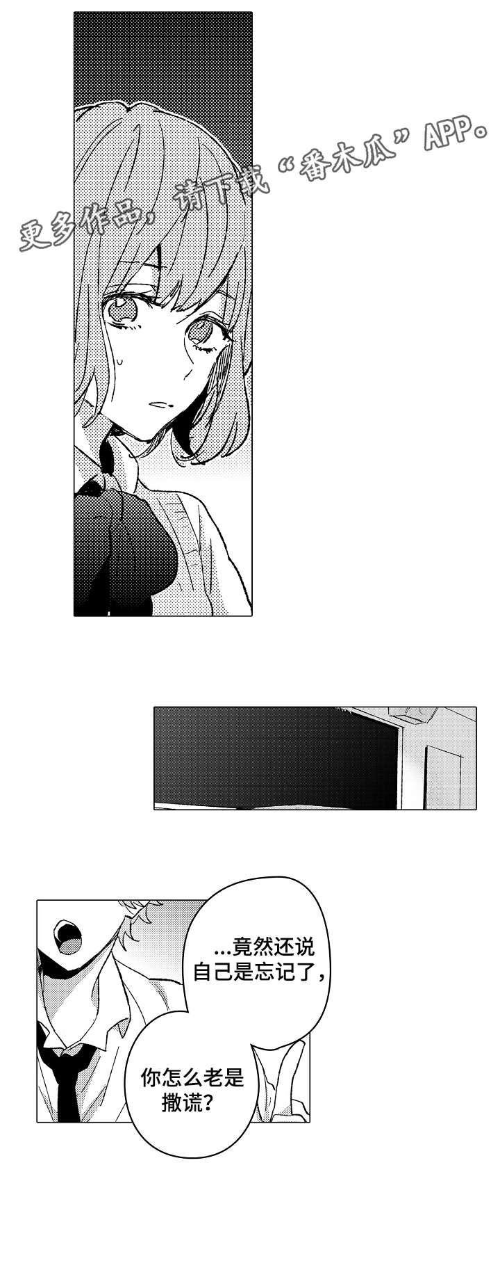 第16章：撒谎
