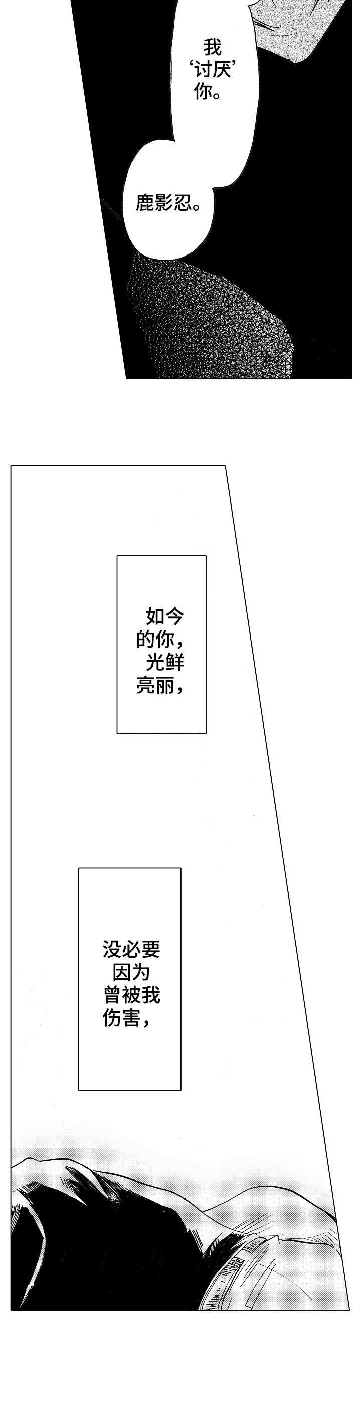 第11章：暗淡