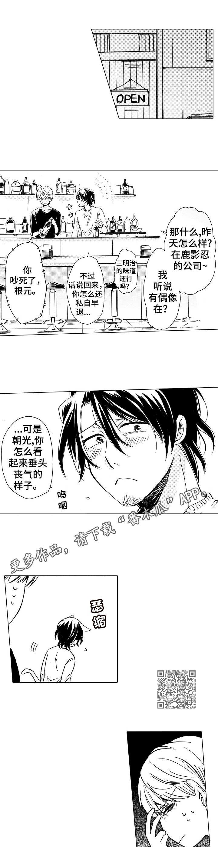 第12章：错觉