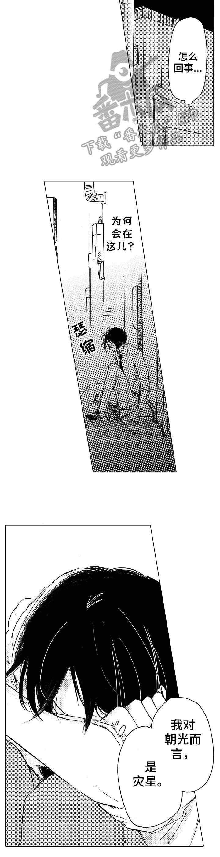 第14章： 替代品