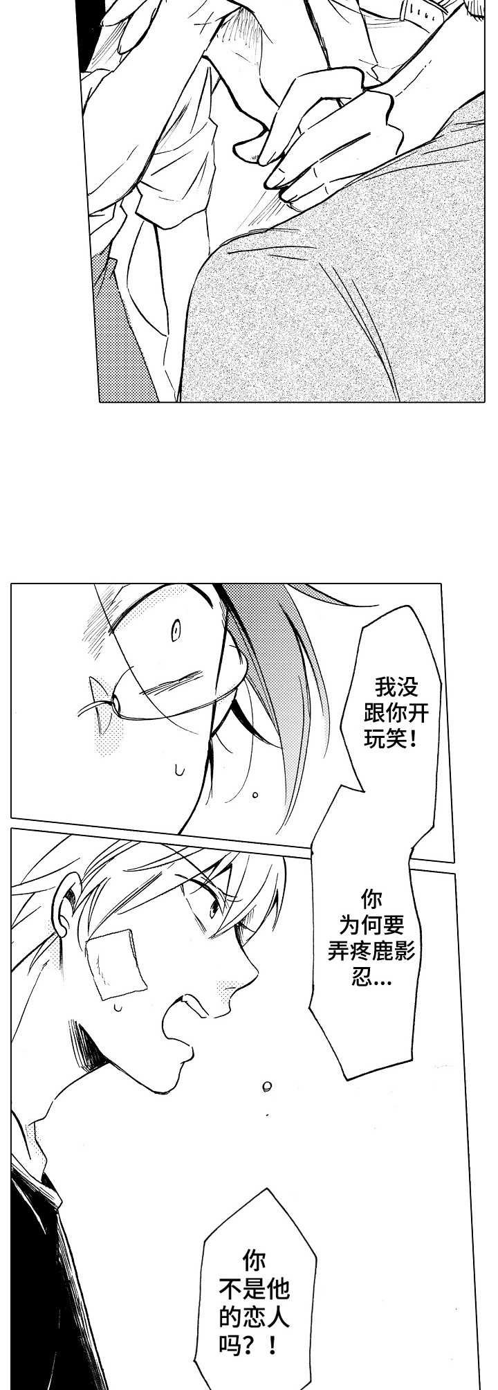 第14章： 替代品
