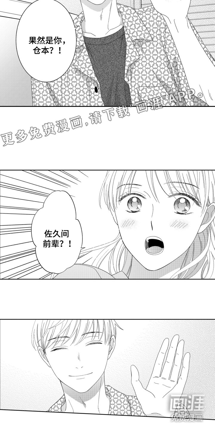 第19章：展示