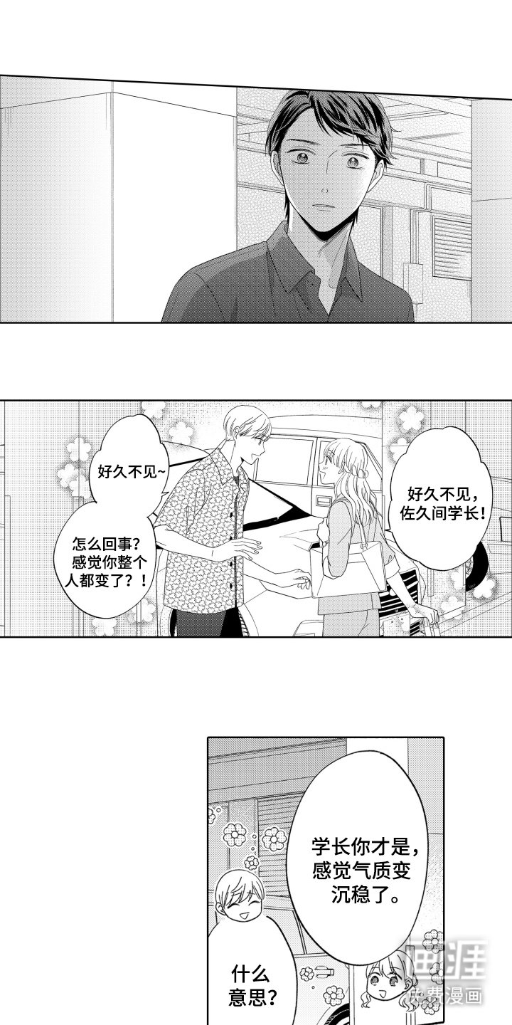 第19章：展示