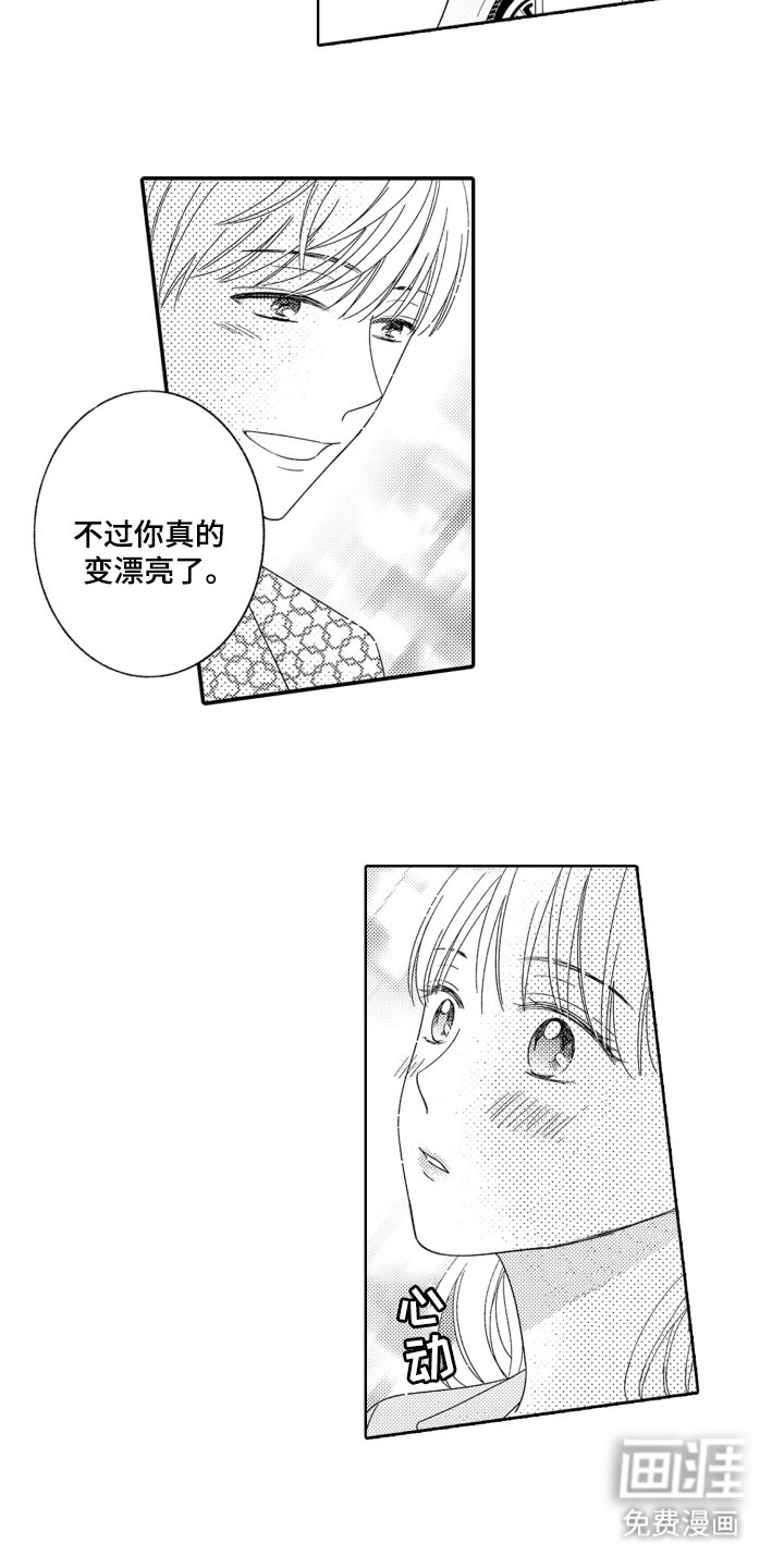 第19章：展示