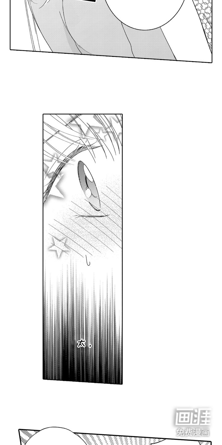第19章：展示