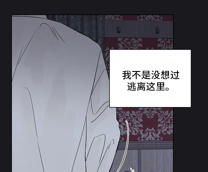 第77章：【第二季】看着就好