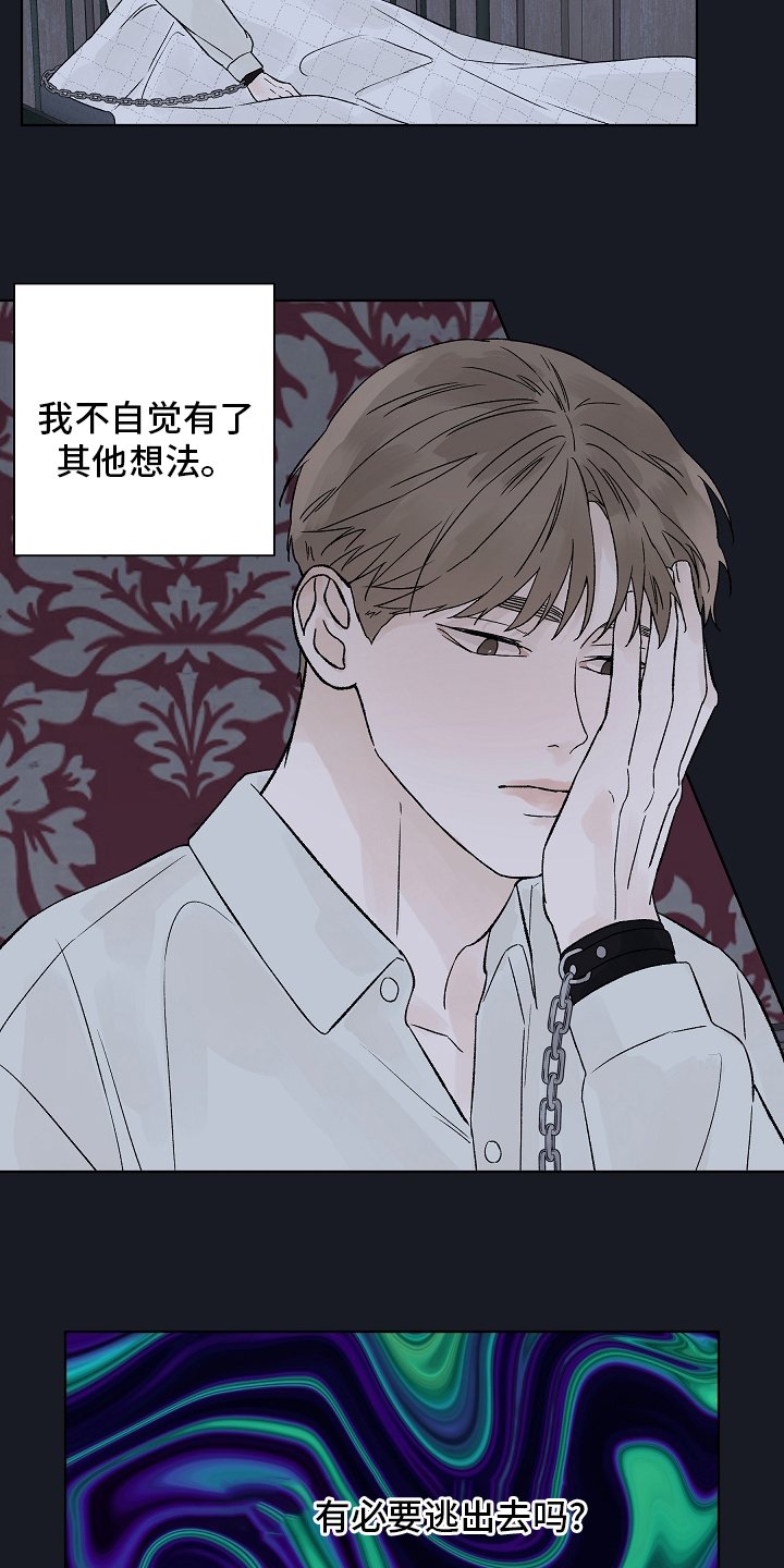 第77章：【第二季】看着就好