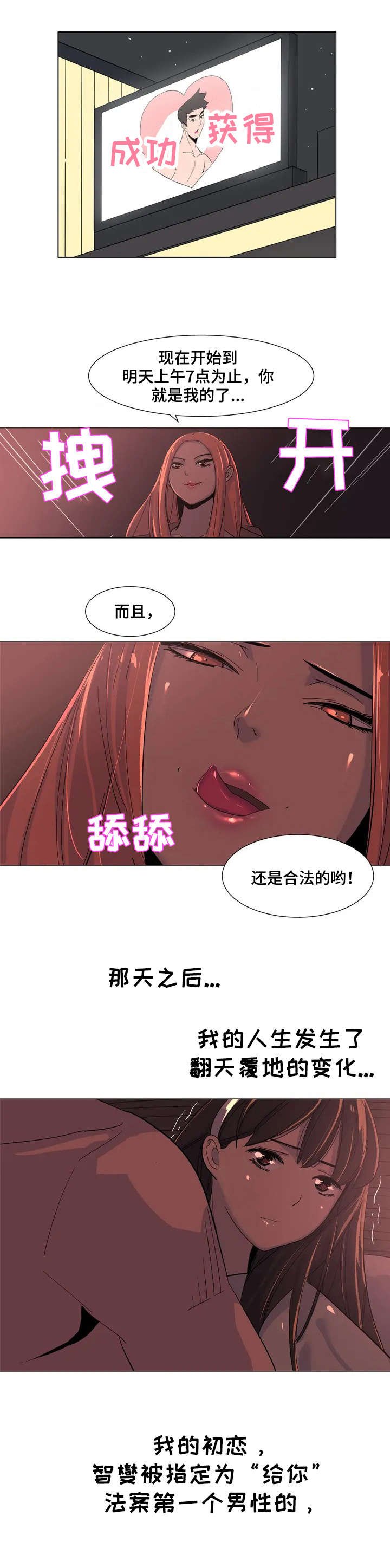第1章：条例