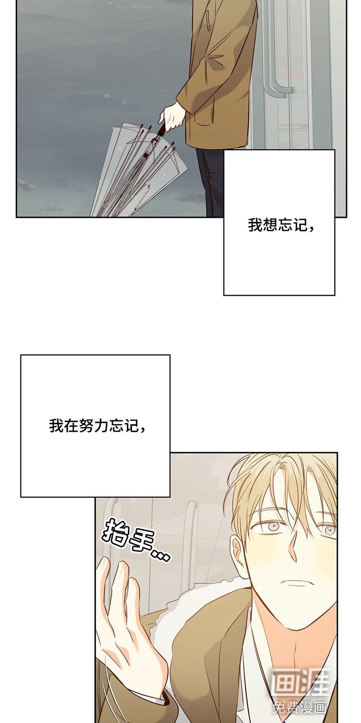 第101章：【第三季】无法忘记的某人