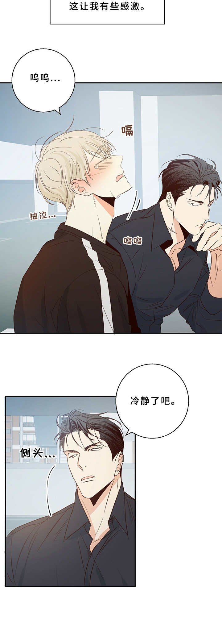 第13章： 哭泣