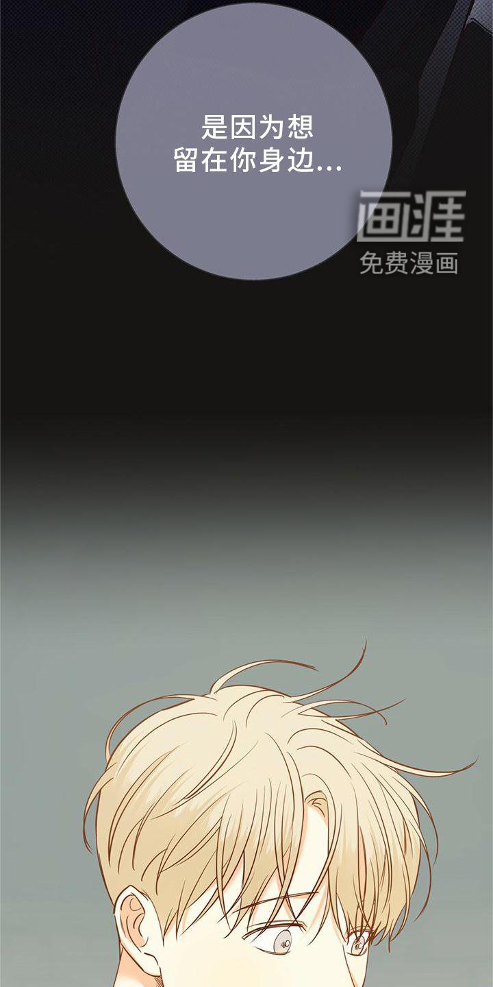 第132章：【第三季】选择