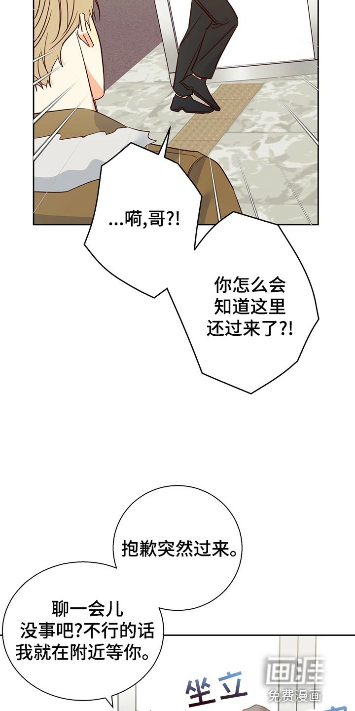 第133章：【第三季】分手吧