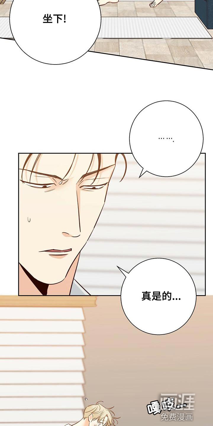 第139章：【第三季】唯一的安慰