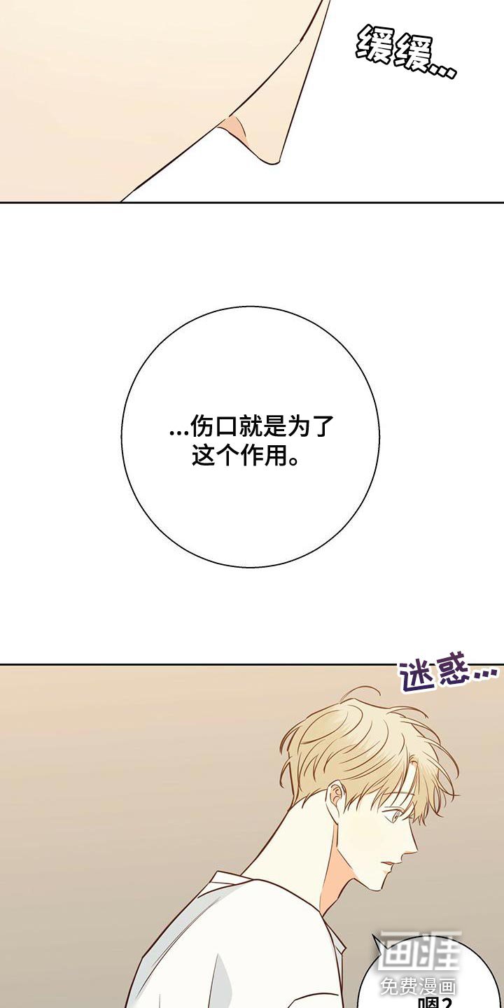 第139章：【第三季】唯一的安慰