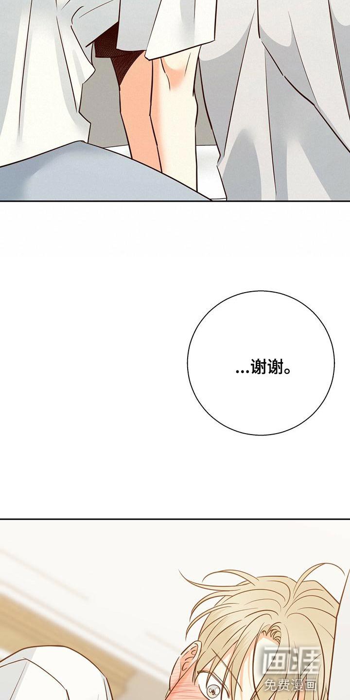 第139章：【第三季】唯一的安慰